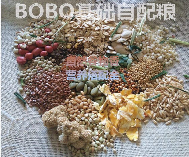 (3 packs) edible level hamster self-matched staple food gold silk bear grain self-matching five grain cereals 400g