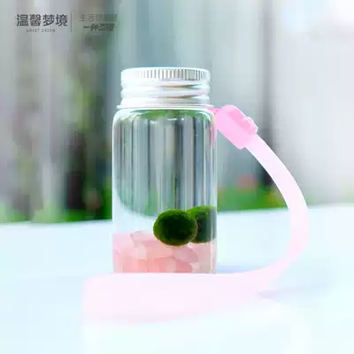 marimo marimo seaweed ball micro landscape ecological bottle mini hydroponic plant carrying bottle nutrient solution