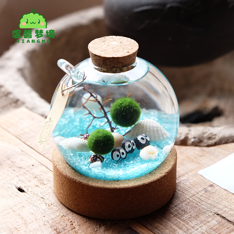 marimo crystal ball happiness seaweed ball indoor green creative potted micro landscape ecological bottle gift hydroponic plant