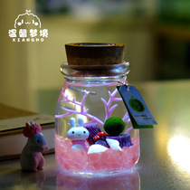marimo happy seaweed ball microscape eco bottle glass bottle mini potted creative gift hydroponic plant