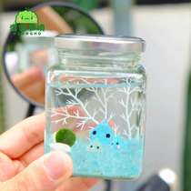 Good Bottle Marimo Happy Seaweed Ball Microscape Eco Bottle Mini Potted Creative Gift Hydroponic Plant