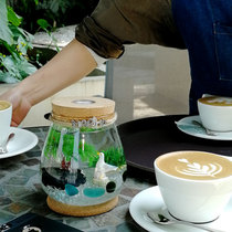 Birthday Gift Glass Aquarium Eco Bottle Tabletop Fantastic Fit Mini Fish Tank Seaweed Ball Microscape