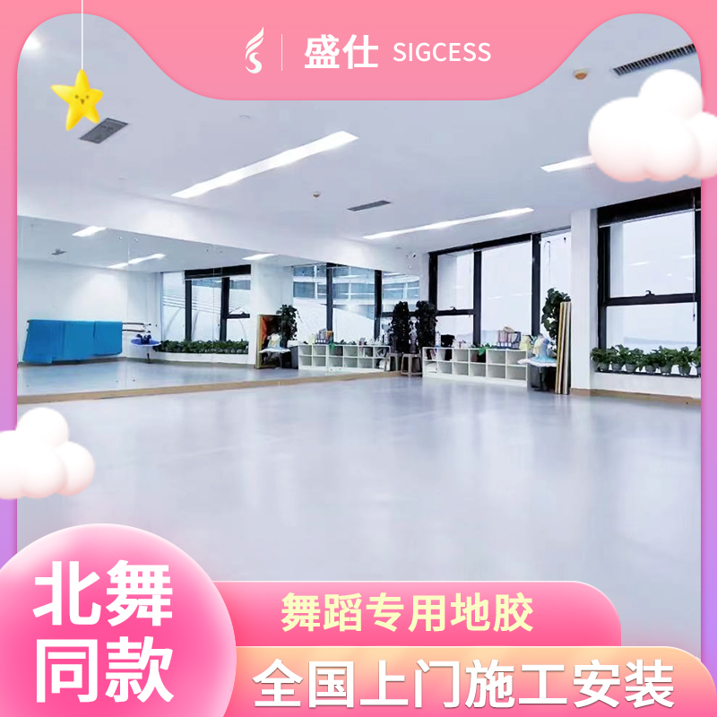 Commercial Dance Classroom Geographic Specialized Ballet Mat Floor Indoor Gym Sports PVC Kindergarten