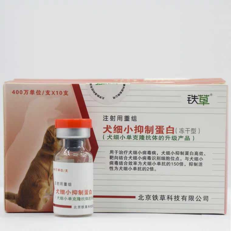 Dog small inhibitory protein 4 million small virus single anti-escalating parvovirus vomiting blood single branch