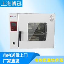 Shanghai Boxun BPX-52 BPX-82 BPX-162 BPX-272 thermostatic incubator