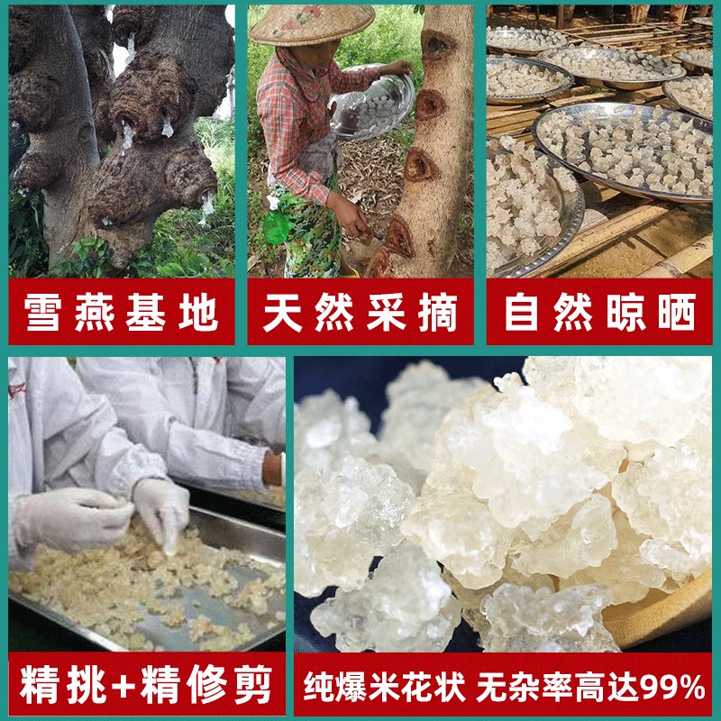 云南天然拉丝雪燕：正宗血燕，植物燕窝的新风尚，你还在等什么？-桃胶-淘宝百科网