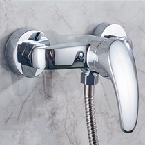 Total Copper Two Lianz Bathtub Bathroom Tap Shower shower suit shower tap bathroom hot and cold water mixing valve tap
