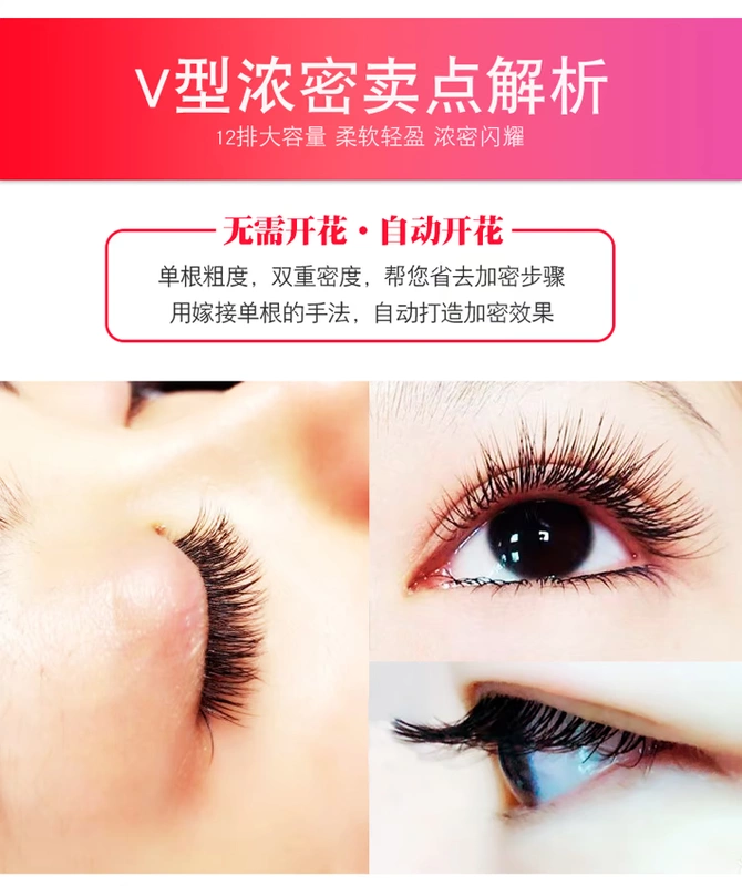 Mã hóa lông mi phẳng hình chữ V ghép lông mi hai đầu gió thổi tự nhiên mềm mại từ hoa lớn V lông phẳng lông mi giả - Lông mi giả mi giả đẹp