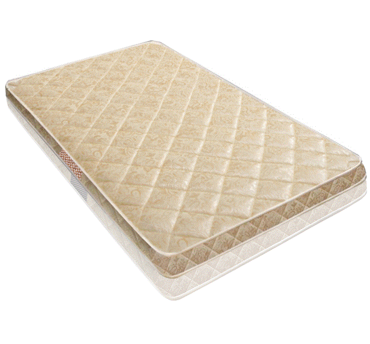 Dừa cọ nệm mat 1,5m 1.8m cứng nền kinh tế đúp mỏng già và trẻ em Palm tùy chỉnh gấp - Nệm giá nệm
