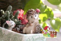 Zakka American Country Nostalgic Style Micro Landscape Succulent Decoration Hedgehog Sister Small Ornaments Pure and Beautiful