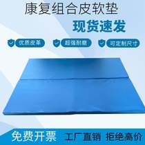 Combination cushion (leather) sports training pad fitness leather cushion rehabilitation care equipment monopoly