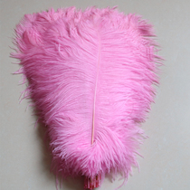 Net Red Feather Wall Pink Ostrich Fur Photo Hanging Accessories Background Wall Wedding road leading decoration Decorative Ostrich Props