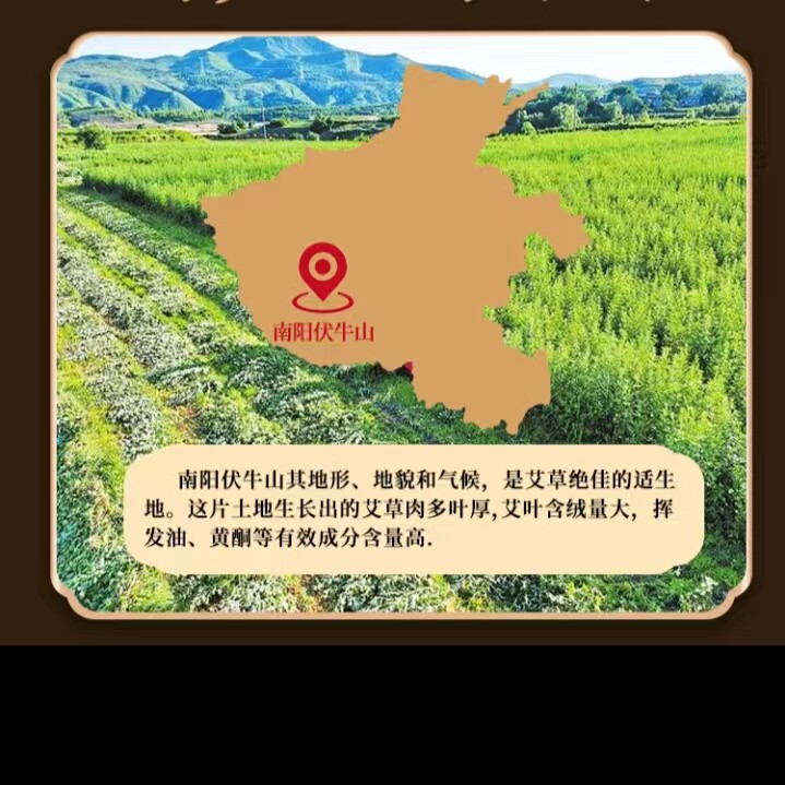 臻艾益生