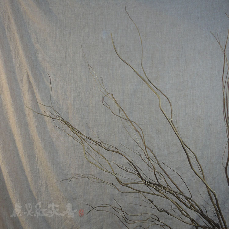 (Longlyu) Nature Home Decoration Furnishing Art Dry Branches Branch Shooting Props Dragon Willow Branches Willow-Taobao