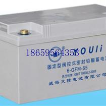 Bargaining Weihai Wenlong Li battery 6-GFM-65 DC screen UPS power supply 12V6H fixed spot bargaining