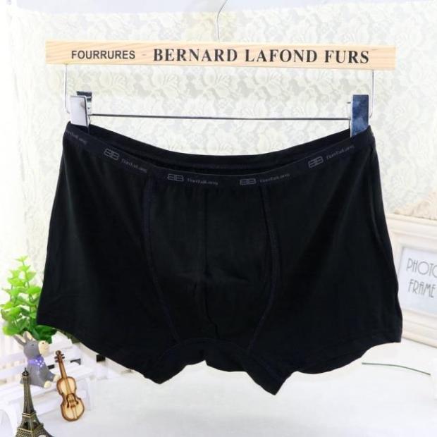 4 túi quần ngắn nam Tian Taro modal cotton tóm tắt Quần bằng sợi cotton thấm mồ hôi quần sịp nam trong suốt