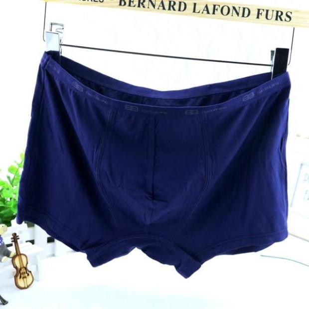 4 túi quần ngắn nam Tian Taro modal cotton tóm tắt Quần bằng sợi cotton thấm mồ hôi quần sịp nam trong suốt
