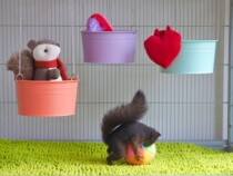 (Oreo)Devil squirrel Honey bag glider Flying squirrel flower branch summer cooling nest Hammock cradle