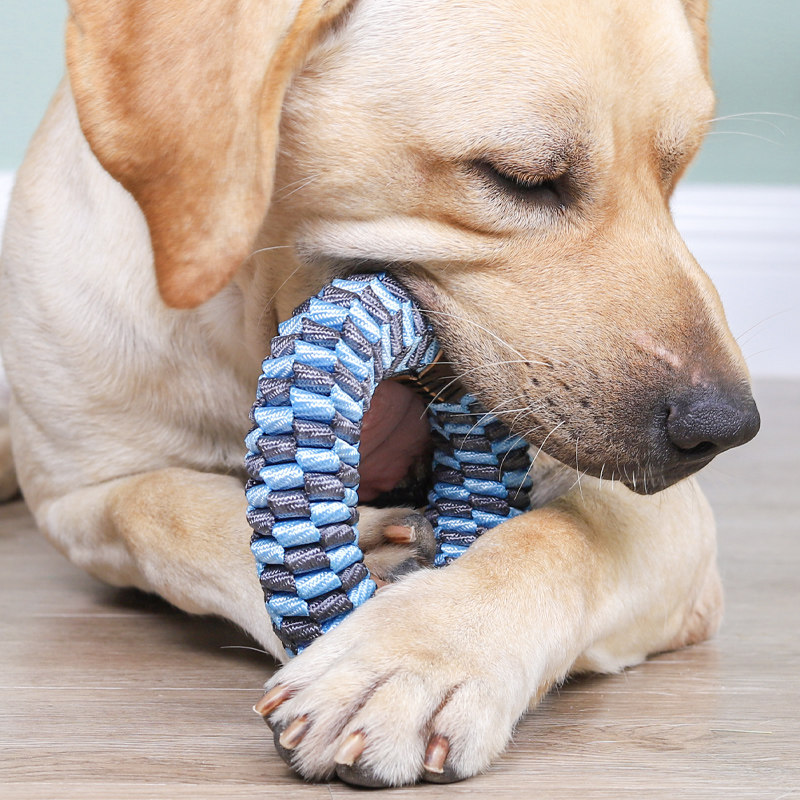 Pet dog toys bite-resistant molars relieve boredom artifact puppies puppy Teddy Corgi medium and large molar stick supplies