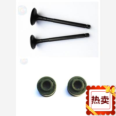 Suitable for mountain leaves XC125 valve oil seal petrol door oil seal