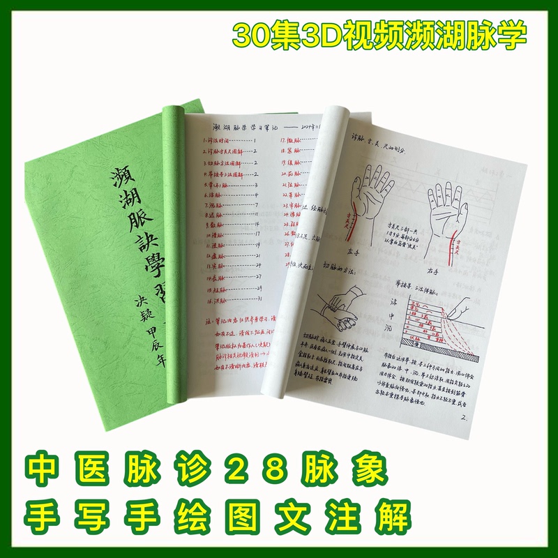 Traditional Chinese Medicine Pulse Diagnosis: Binhua Pulse Studies, Traditional Chinese Medicine Pulse Analysis, Handwritten Graphic Annotations, 3D Video Learning Materials Booklet, A4 Notes, Video Tutorials, Pulse Patterns, Binhua Pulse Secrets, 30 Episodes Dvd Disc Traditional Chinese Medicine Pulse Diagnosis: Binhua Pulse Studies, Traditional Chinese Medicine Pulse Analysis, Handwritten Graphic Annotations, 3D Video Learning Materials Booklet, A4 Notes, Video Tutorials, Pulse Patterns, Binhua Pulse Secrets, 30 Episodes Dvd Disc