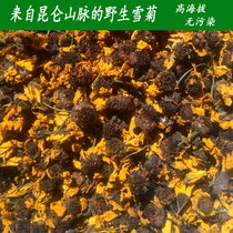 Kunlun Snow Chrysanthemum Tea Fetus Tianshan Icessium Semochm Special Class Xinjiang Hetian Alpine Breeding Tea