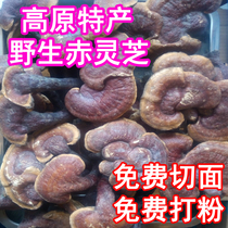 Tibet Gangche Wild Slice Playing Powder Wine Whole Branch Dry Changshan Chishi Nourishing Chinese Medicine