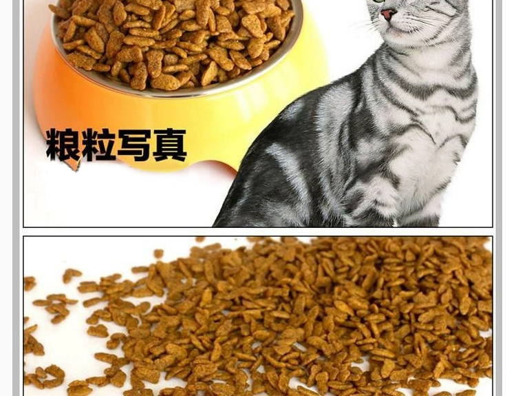 Thức ăn cho mèo Remi Gao Olay ngoáy miệng mèo Anh đi lạc ngắn vào mèo con 500g5 kg hải sản hương vị thức ăn cho mèo 2,5kg - Cat Staples