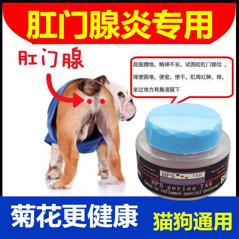 Pet Dog Anal Aptitis Anti-Inflammation Paste Treatment for Anal Anal Anal Red and Sweet Pus Pus Butt