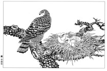 36 pieces of Eagle Chinese painting homework painting fine brushwork