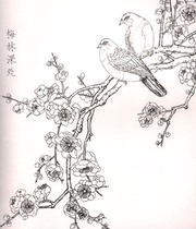 Plum blossom 21 white drawing line manuscript fine painting flower and bird material White drawing manuscript high-definition electronic large picture material