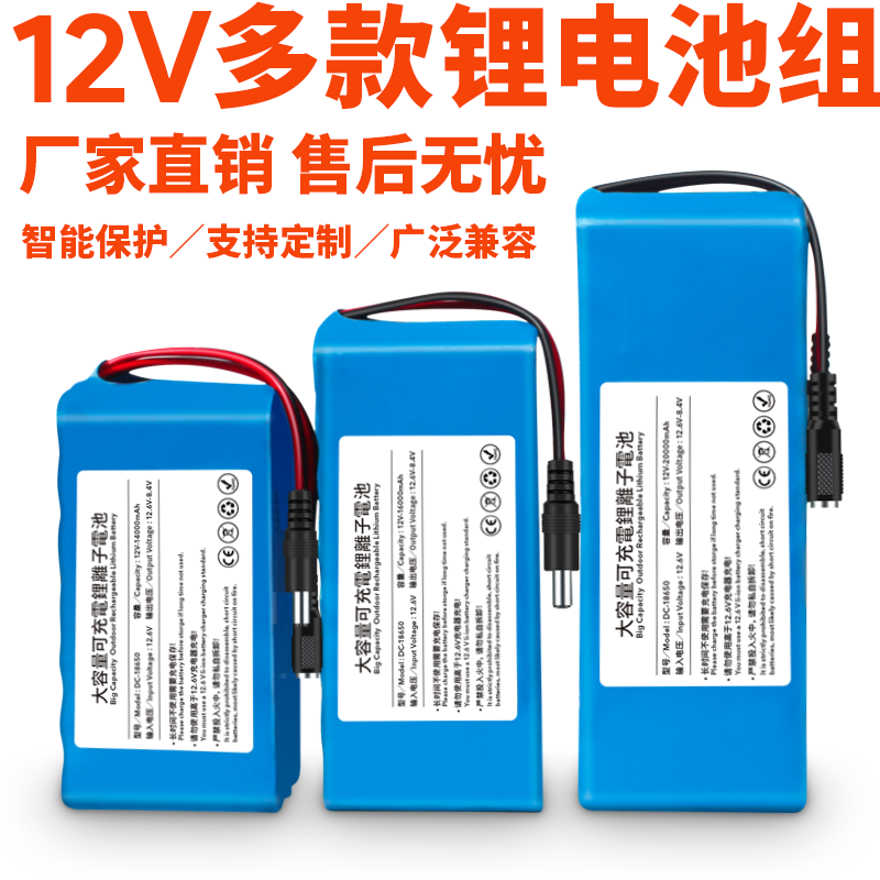 Peregrine Falcon 12V Lithium Battery Large Capacity Sound Action Power Outdoor Custom Washing Machine Monitor Rechargeable Battery