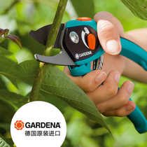 Gadina Germany GARDENA8788 pruning shears tree shears fruit shears German scissors