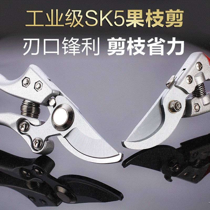 德国进口钢材园艺剪刀修枝剪园林修剪树枝果树剪子粗枝剪花木工具