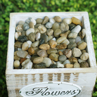 Rain flower stone moss simulation succulent plant potted decoration