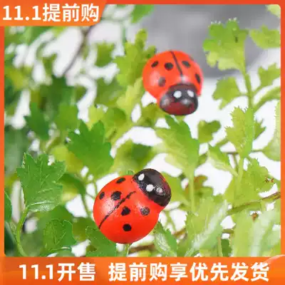 Simulation of the seven-star Ladybug Home accessories refrigerator stickers succulent plant ornaments
