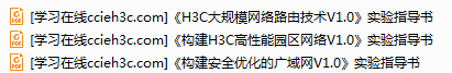 【实验手册】H3C官方H3CSE实验手册（路由 交换 优化）