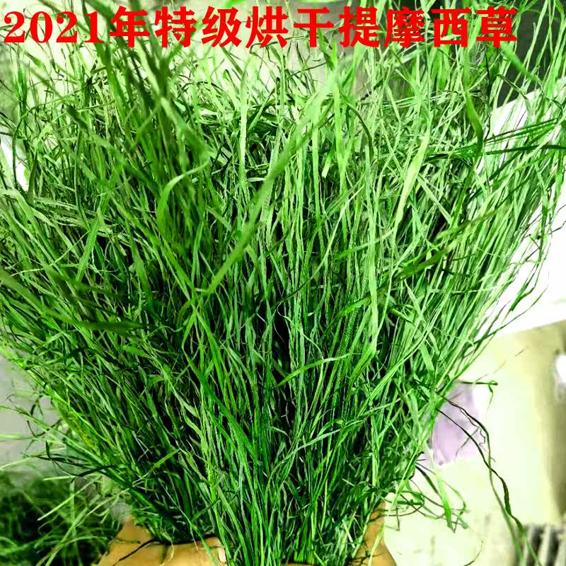 22 years SP special Canadian Timothy grass one second pressure Nanti Timothy chinchilla rabbit guinea pig grain grass