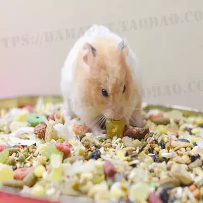 Yangyang aunt homemade deluxe version of self-made food hamster staple food 400g suitable for bear dwarf general food