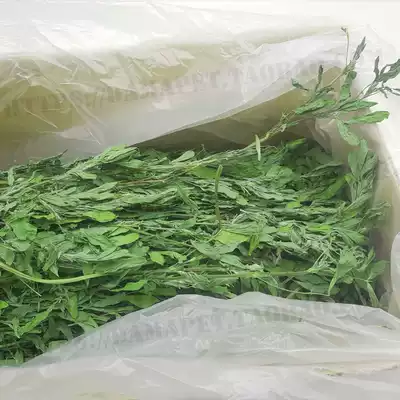 2021 Drying alfalfa, alfalfa, Chinchilla forage, rabbit food, feed, hay, gross weight 1000g