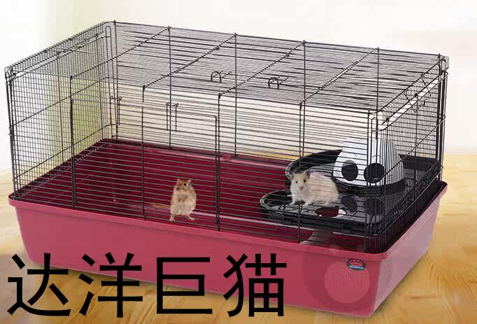 Dayuan Giant Cat Head Super Harden Hardware Gunji Rabbit Dragon Cat Hedgehog