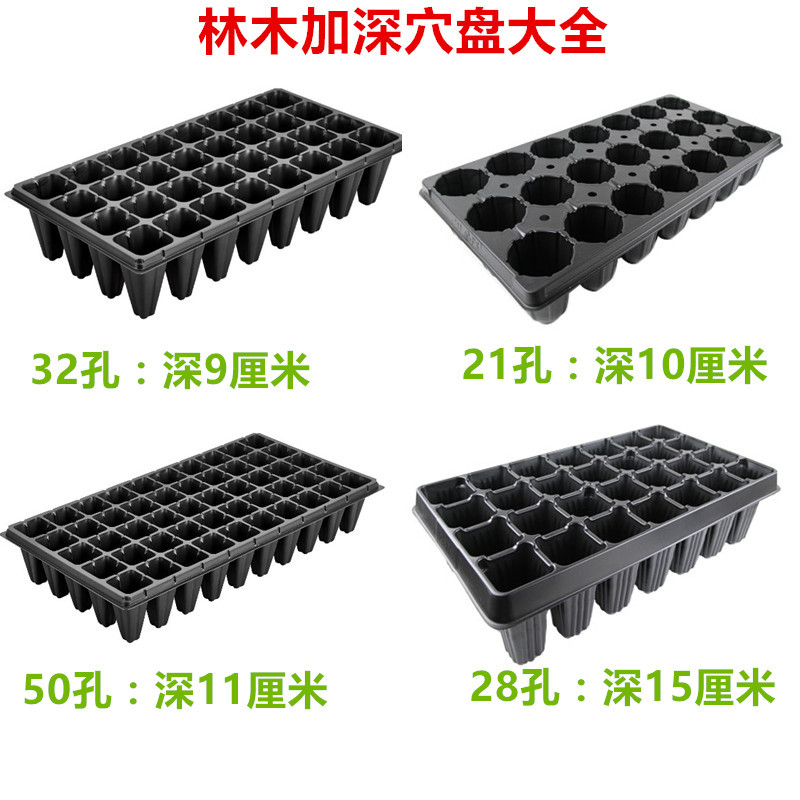 21 21 32 28 50 50 Seedling Nursery Pan Tray Deepening Forest Nursery Sapling Thickening of Nutritional Bowl Multi-Flesh Fry