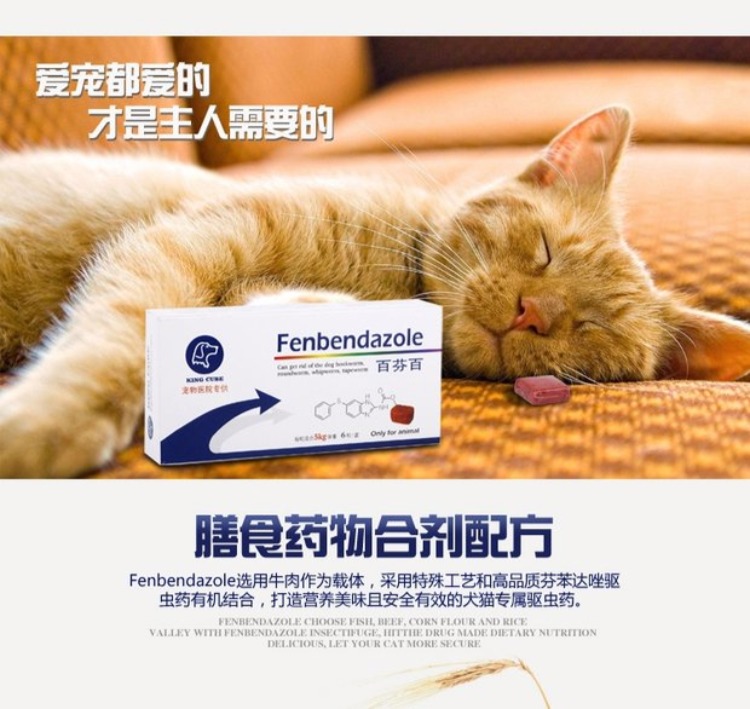 [5kg trở xuống] Khối lập phương, mèo, chó, thịt bò, thịt bò, cơ thể, thuốc trừ sâu, hạt đơn của KINGCUB Rubik - Cat / Dog Health bổ sung sữa mèo con