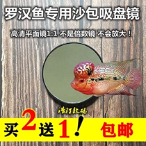 Arhan fighting fish special sandbag suction cup mirror fish fish artifact Taijin fish tank ornaments aquarium decoration supplies aquarium