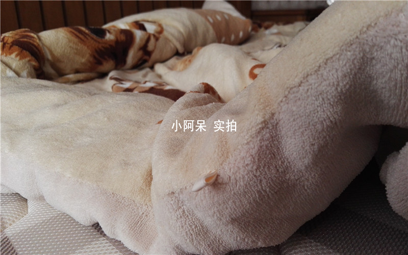 Ngoại thương gốc phim hoạt hình mùa đông chăn sinh viên ký túc xá với lõi đơn chăn mùa đông ấm áp đơn lõi dày 	trần bông chăn ga gối	