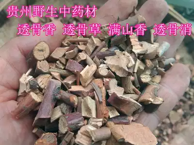 Guizhou Wild Bone Fragrant 500g Miao Medicine Tou Bone Cao Manshan Xiang Guo Xiaoguo Dian Baizhu Small Bone Grass