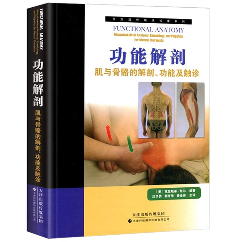Универсальный физиологичный скелет, анатомия