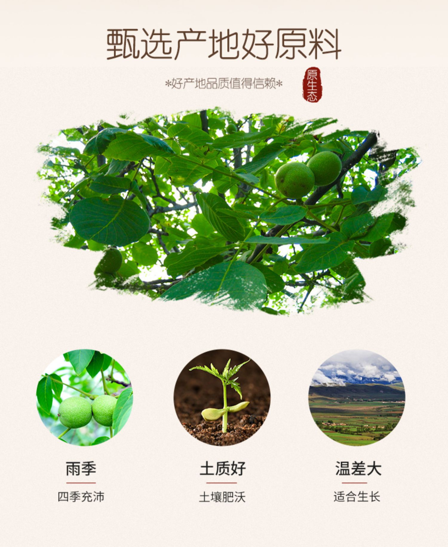 烤核桃！奶油味薄皮250克*3袋