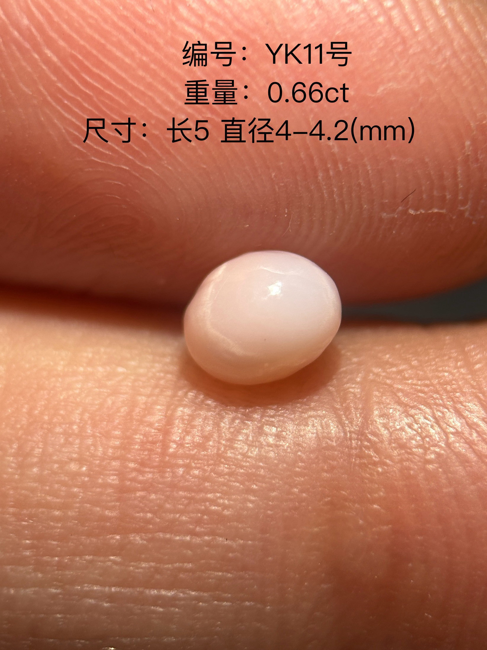 YK11野生珍珠海螺珠孔克珠：🌊海洋瑰宝，点亮你的时尚新潮流！ -裸珠-淘宝好物网