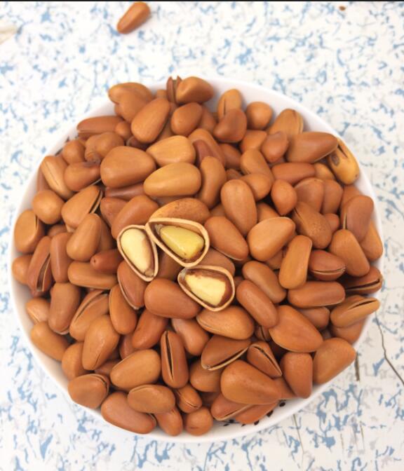 Premium Pine Nuts